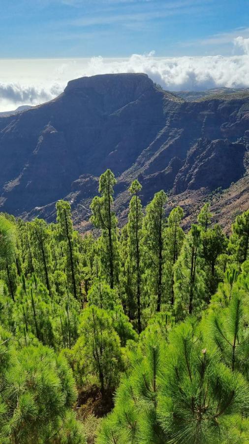 Casa Doris Apartment San Sebastian De La Gomera Ngoại thất bức ảnh